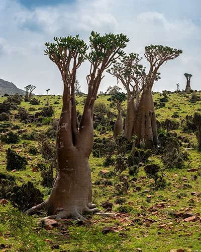 Accommodation image 1