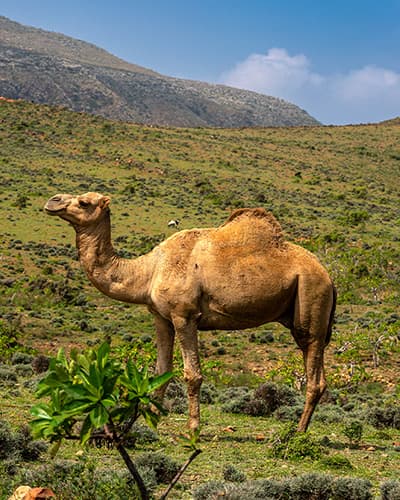 Accommodation image 2