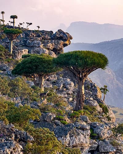 Accommodation image 5