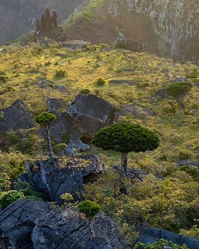 Accommodation image 6