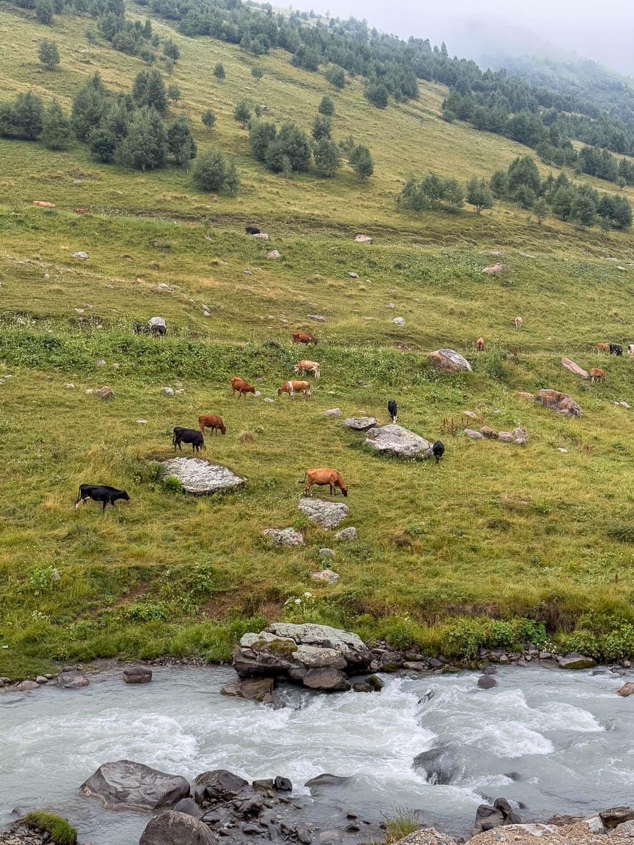 Accommodation image 17