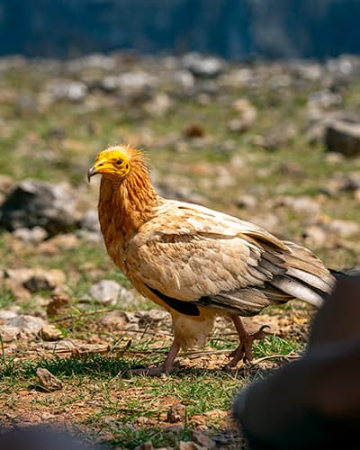 Accommodation image 7