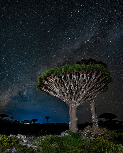 Accommodation image 8