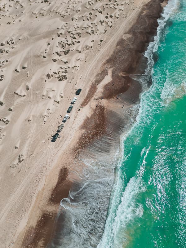 Остров Сокотра