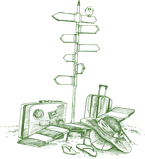 Путешествия